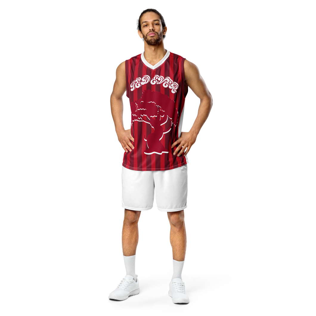 Ted Ever Custom Unisex Basketball Jersey
